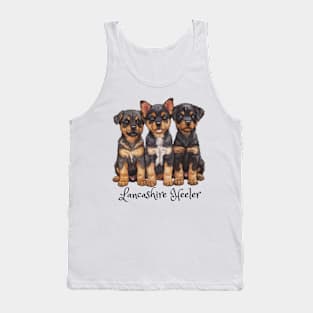 Three Lancashire Heeler puppies all looking cute. Tank Top